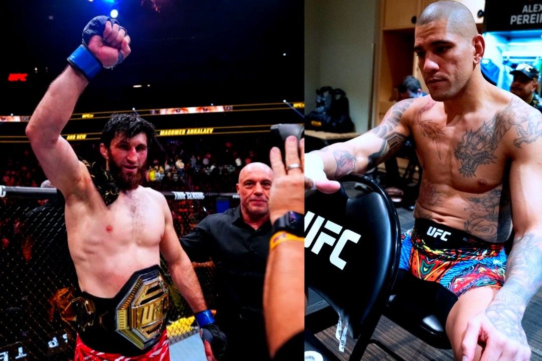 Magomed Ankalaev hailed as less popular than former champ and rival Alex Pereira